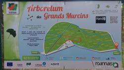 Les Grands Murcins, vue sur la plaine Roannaise