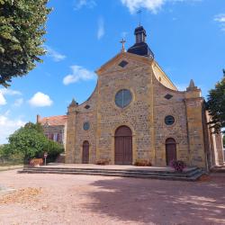 Saint Romain la Motte, l'église