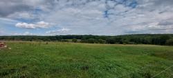 Vue sur la Forêt de Lespinasse