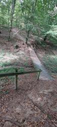 Forêt de Lespinasse
