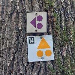 Circuit VTT de la Forêt de Lespinasse (violet)