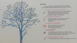 Forêt de Lespinasse, le Grand Couvert, les circuits de randos