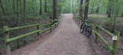 Forêt de Lespinasse