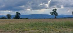 Vue sur les Monts de la Madeline et les éoliennes
