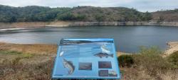 Bord du Lac de Villerest