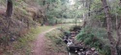Gorges du Lourdon, sentier au bord du ruisseau