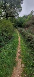 Gorges du Lourdon, single