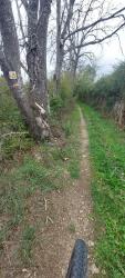 Single vers Saint Maurice sur Loire