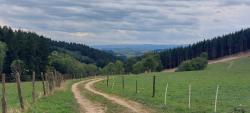 Vue sur les Monts du Forez à l'horizon