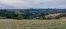 Paysage