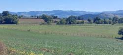 Vue sur le Beaujolais et les éoliennes de Valsonne