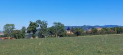 Coutouvre, vue sur le clocher