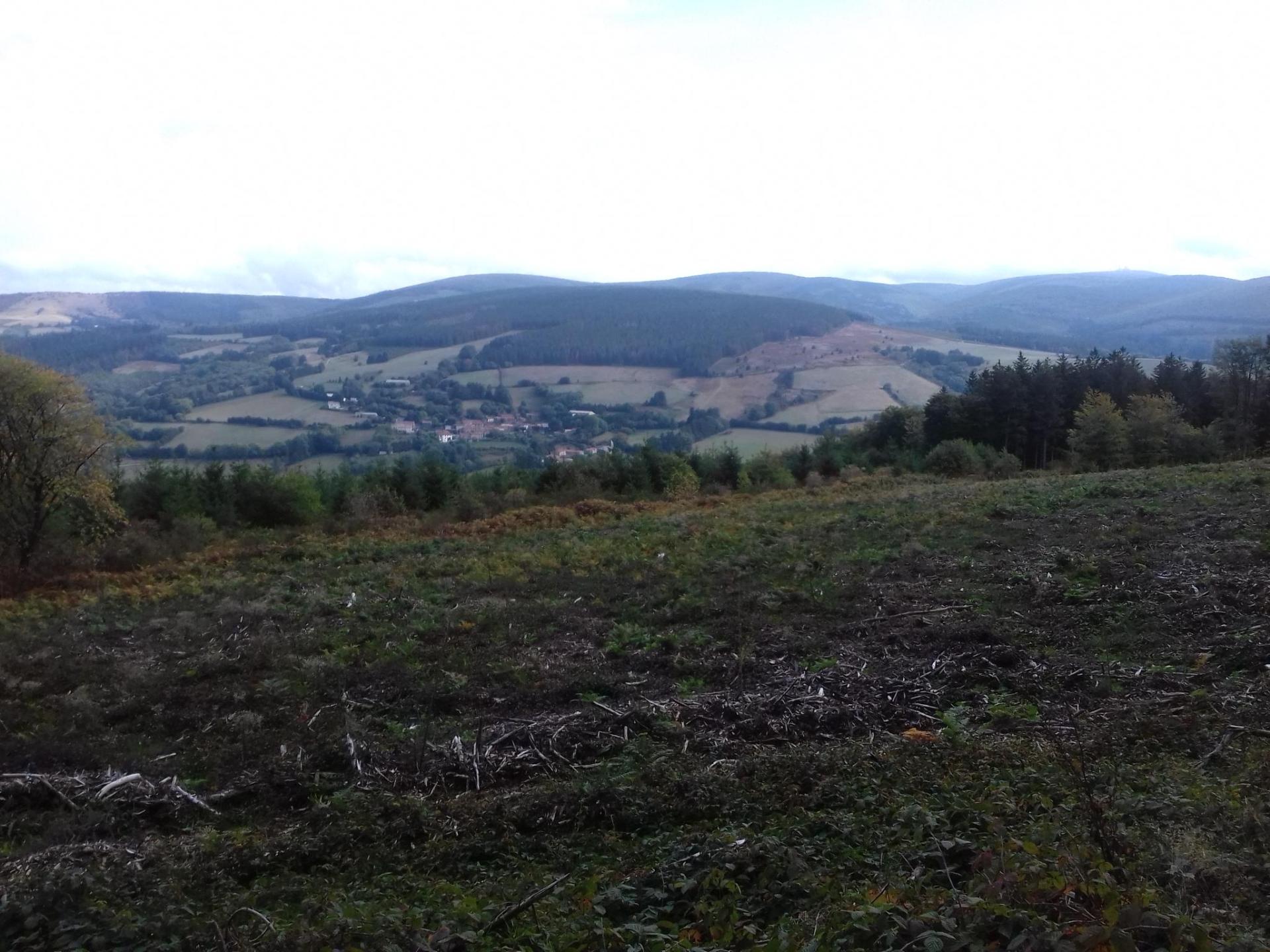 Plateau du Sambrès - Le chant des éoliennes