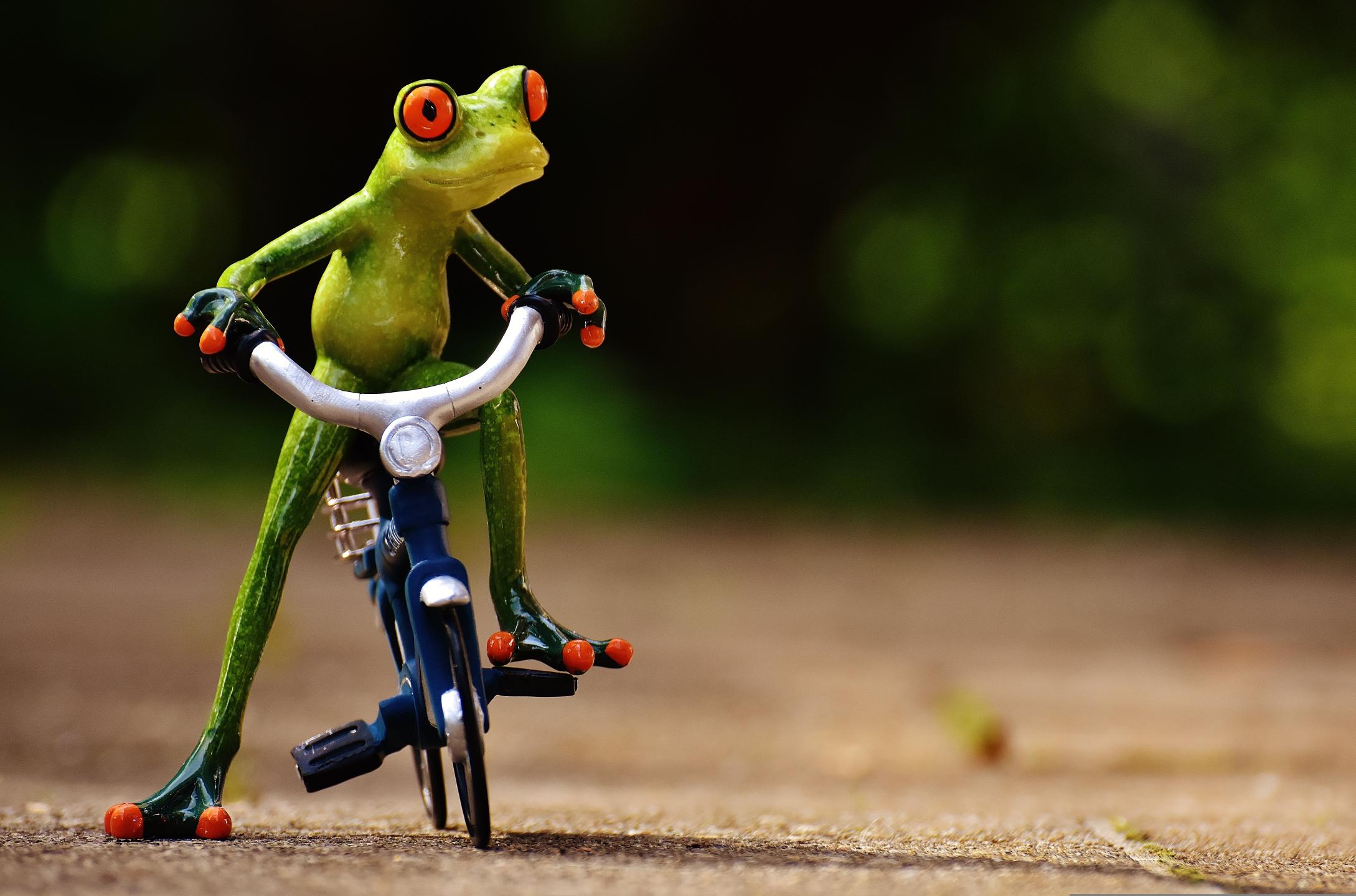 Nocturne des grenouilles 2022 - 35 km