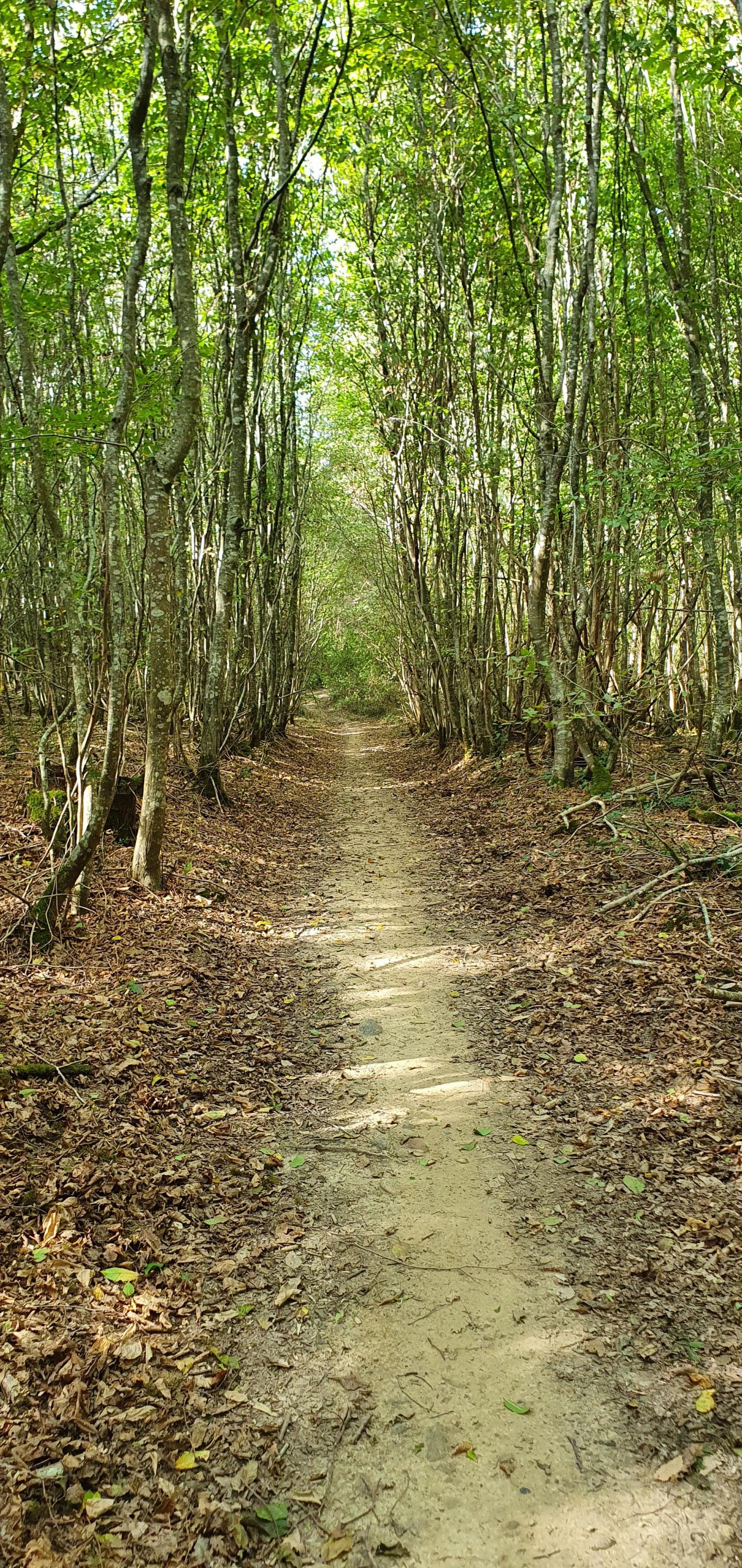 Petit enduro autour de Saint-Lys