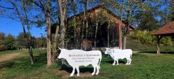 Iguerande, au bord de la piste cyclable