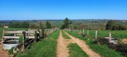 Paysage du Brionnais