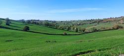 Vers Mailly, vallon du Ruisseau du Pré de la Caille
