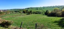 Bocage du Brionnais