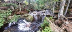Vallée de Chorsin, Torrent de Pierre Brune