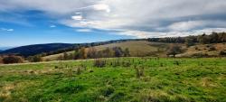 Vers les Hautes Chaumes du Forez