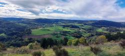 Paysage des Monts du Forez