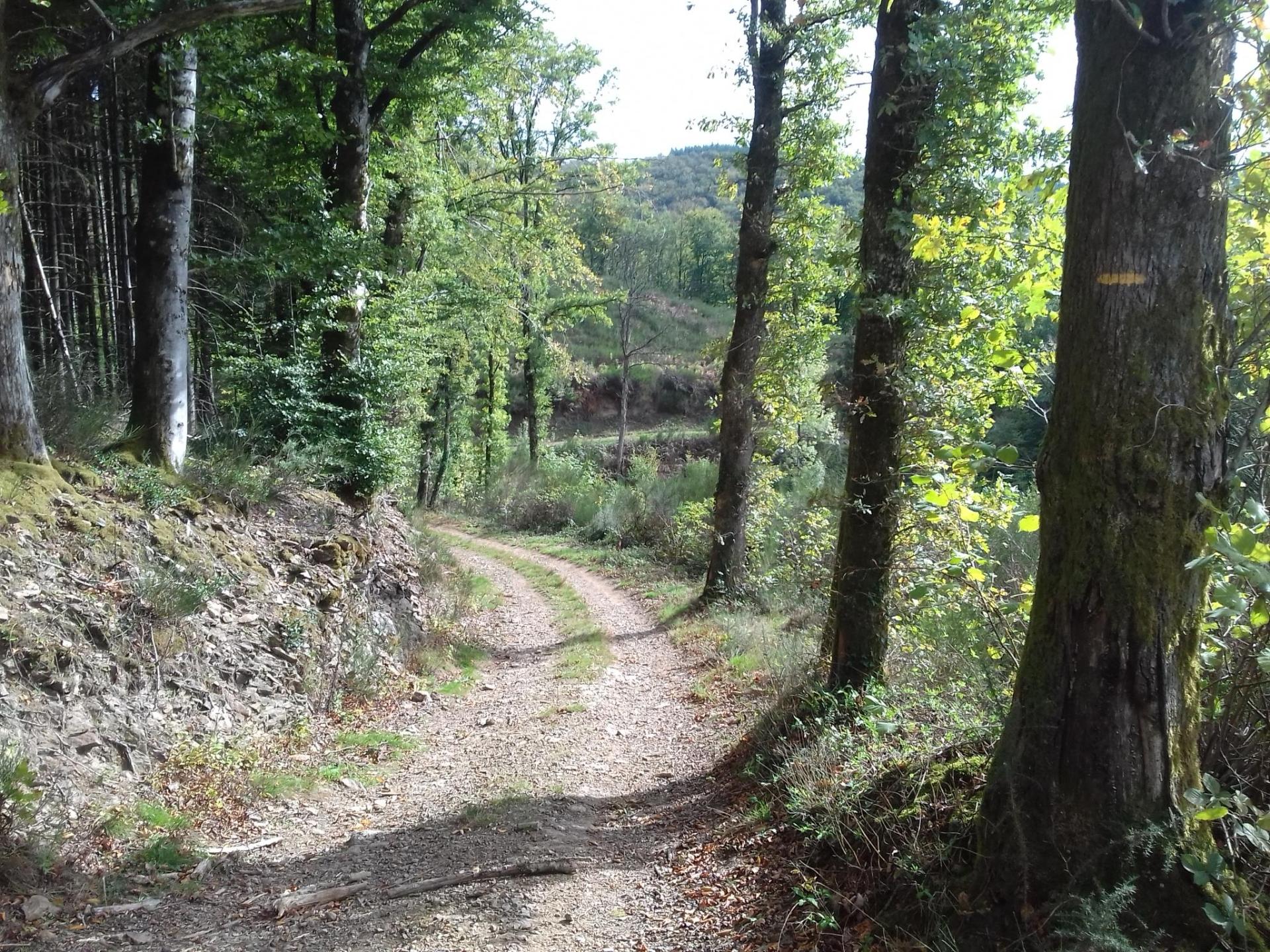Circuit au départ de Boissezon