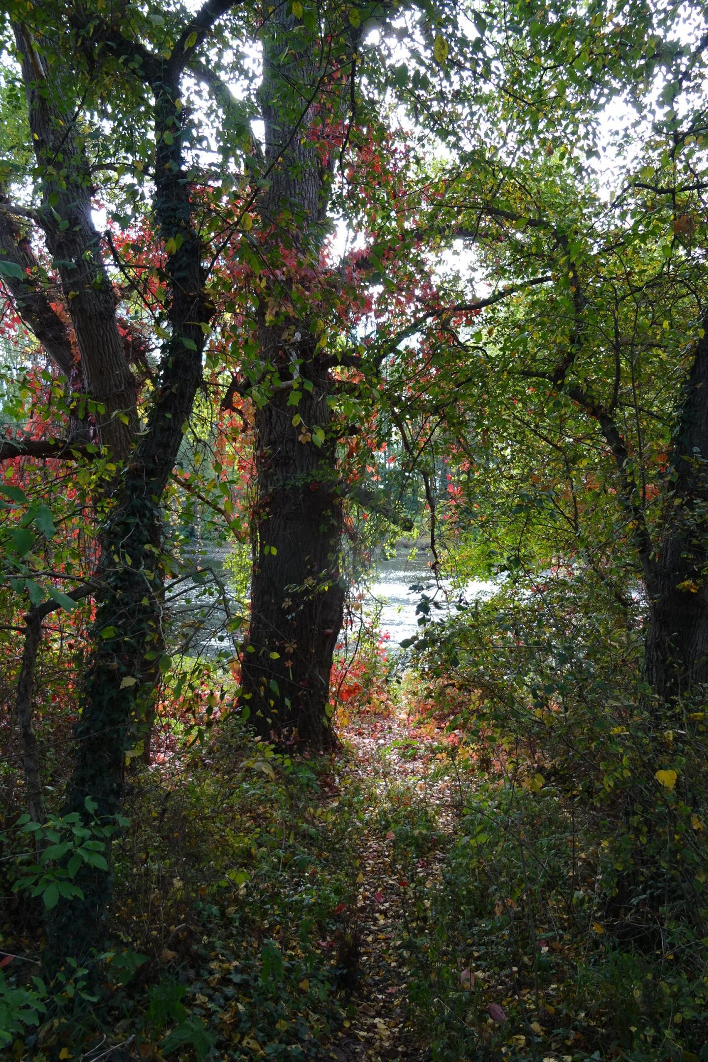 Entre Veauche et Sury-le-Comtal