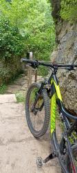 VTT-36333