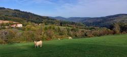 Paysage, vers Le Four