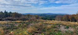 Bois Greffier, vue sur le Massif des Bois Noirs à l'horizon