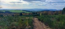 Bois Tor, vue sur les Monts du Forez à l'horizon