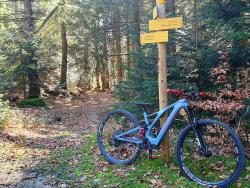 VTT-33321