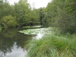 195.Moléans.(28).Valainville.La Conie.