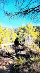 Les Terres grises