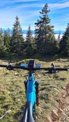 VTT-33379