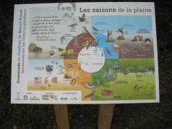 225.Illiers-Combray.(28).GR35.Chemins Proustiens.