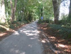 365.Firfol.(14).Chemin de la Lande.
