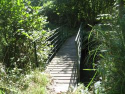 395.Fierville-les-Parcs.(14).Lieu Gibon.Passerelle sur le Chaussey.