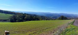 Paysage