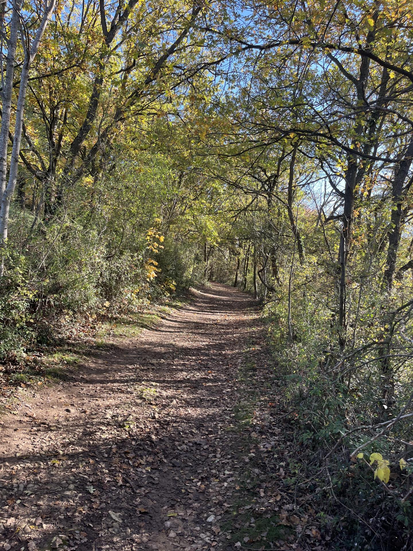 Boucle dans les Monts d'Or