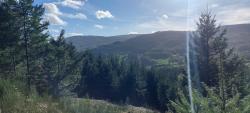 Vue sur les 7 éoliennes de Saint Nicolas des Biefs