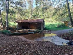 Saint Bonnet des Quarts, le lavoir, après poussage possible