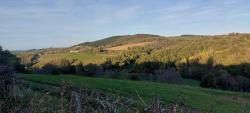 Paysage