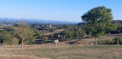 Vue sur Le Crozet