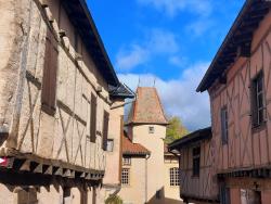 Saint Haon le Châtel