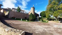 Saint Haon le Châtel