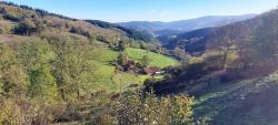 Paysage