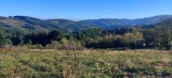 Paysage