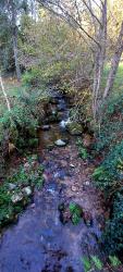Ruisseau de la Tâche